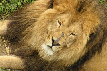 Similar image 196536