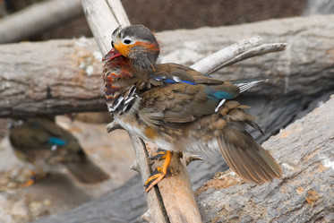 Similar image 196567