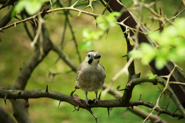 Similar image 196570