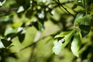 Similar image 196573