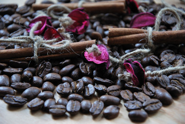 Similar image 196614