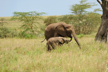 Similar image 196624