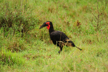 Similar image 196627