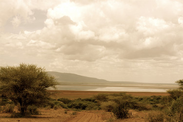 Similar image 196632