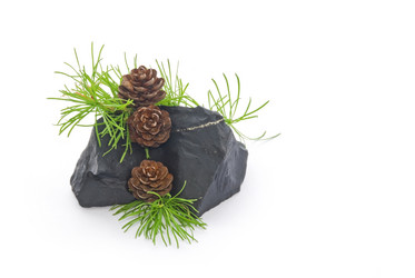 Similar image 196643