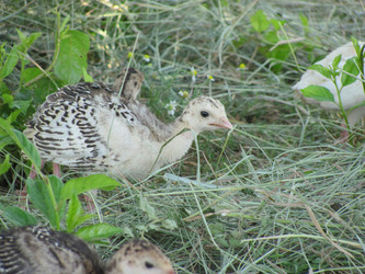 Similar image 196727