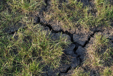 Similar image 196818