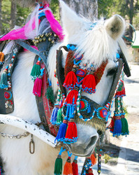 Similar image 196821