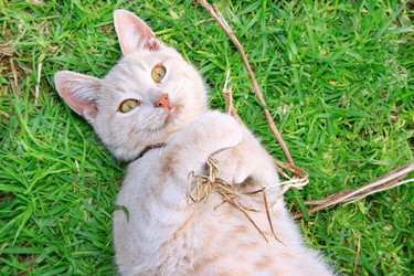 Similar image 196822