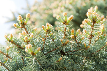 Similar image 196826