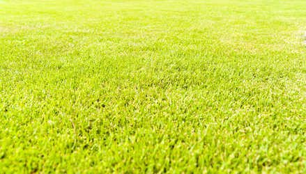 Similar image 196828