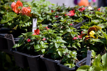 Similar image 196829