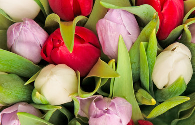 Similar image 196840