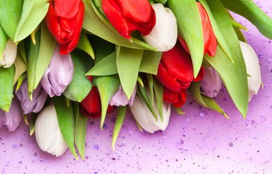 Similar image 196841