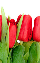 Similar image 196842