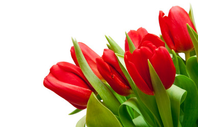 Similar image 196843