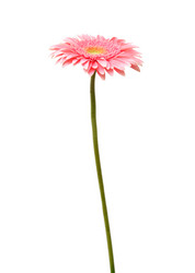 Similar image 196847