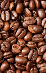 Similar image 196849