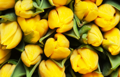 Similar image 196871