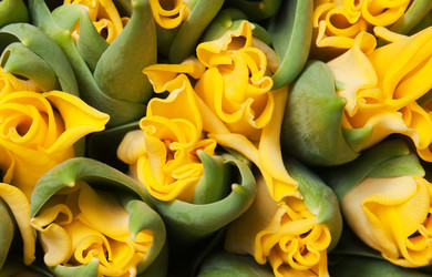 Similar image 196872