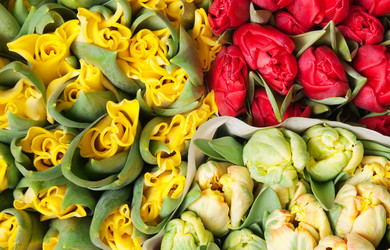 Similar image 196873