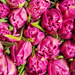 Similar image 196877