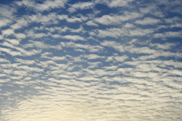 Similar image 196889