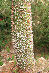 Similar image 196895