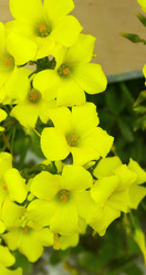 Similar image 196901