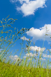 Similar image 196902