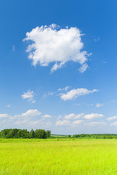 Similar image 196904