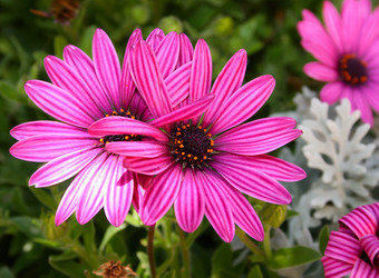 Similar image 196909