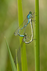 Similar image 196911