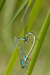 Similar image 196912