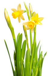 Similar image 196917