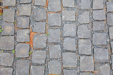 Similar image 196918