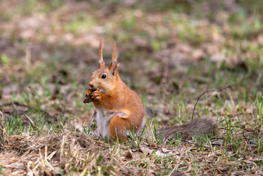 Similar image 196921