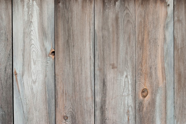 Similar image 196938