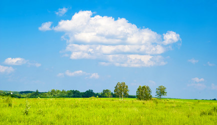 Similar image 196940