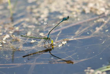 Similar image 196947