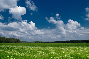 Similar image 196968