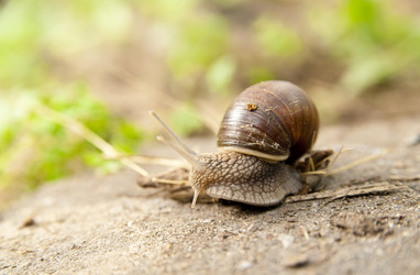 Similar image 196971