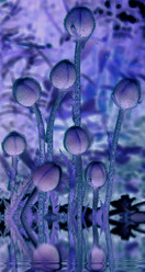 Similar image 197018