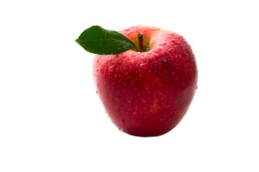 Similar image 197025