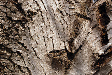 Similar image 197050