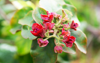 Similar image 197059