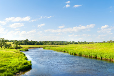 Similar image 197065