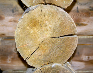 Similar image 197072