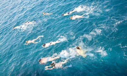 Similar image 197082