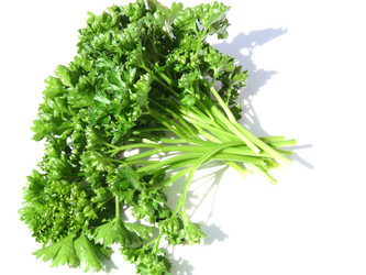 Similar image 197105